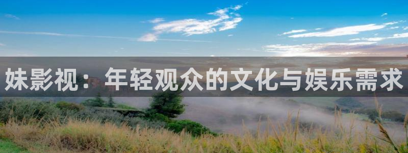 制作泡泡机：妹影视：年轻观众的文化与娱乐需求