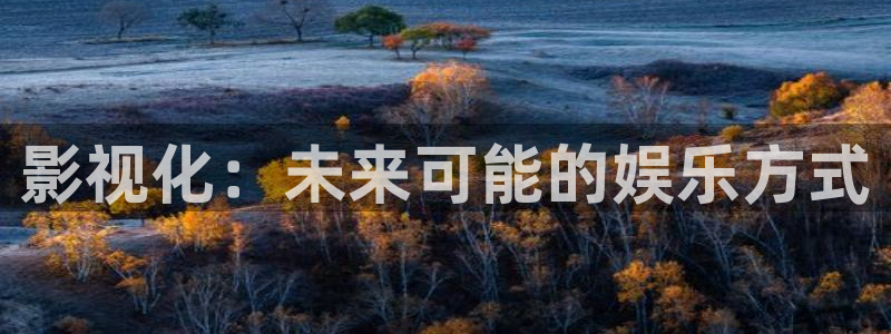 泡泡影视老版本：影视化：未来可能的娱乐方式