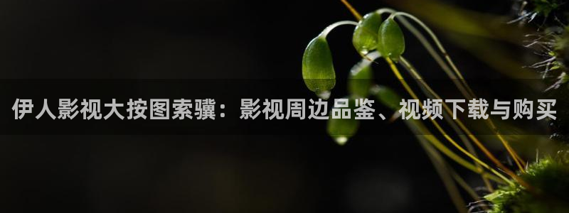 沉香如屑电视剧免费观看泡泡影视完整版：伊人影视大按图索骥：影视周边品鉴、视频下载与购买