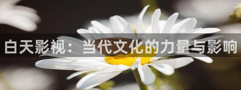 泡泡视频在线播放免费观看：白天影视：当代文化的力量与影响