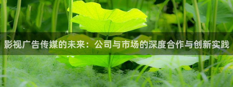 泡泡影院ppys：影视广告传媒的未来：公司与市场的深度合作与创新实践