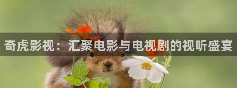 泡泡影视app下载安卓下载：奇虎影视：汇聚电影与电视剧的视听盛宴