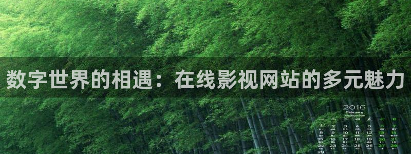 泡泡猪影视：数字世界的相遇：在线影视网站的多元魅力