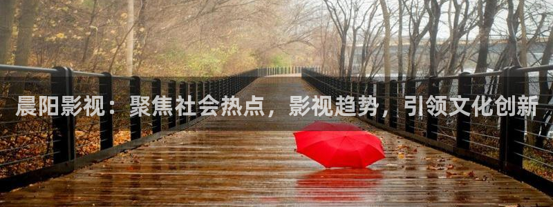泡泡电影网最新电影：晨阳影视：聚焦社会热点，影视趋势，引领文化创新
