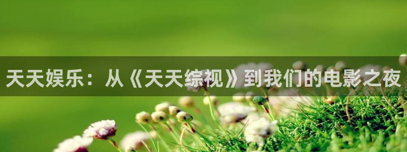 泡泡影视哈片：天天娱乐：从《天天综视》到我们的电影之夜