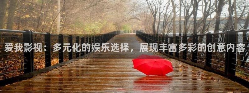 泡泡影视电影天堂电视剧：爱我影视：多元化的娱乐选择，展现丰富多彩的创意内容