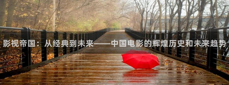 善良的女秘书泡泡影视：影视帝国：从经典到未来——中国电影的辉煌历史和未来趋势
